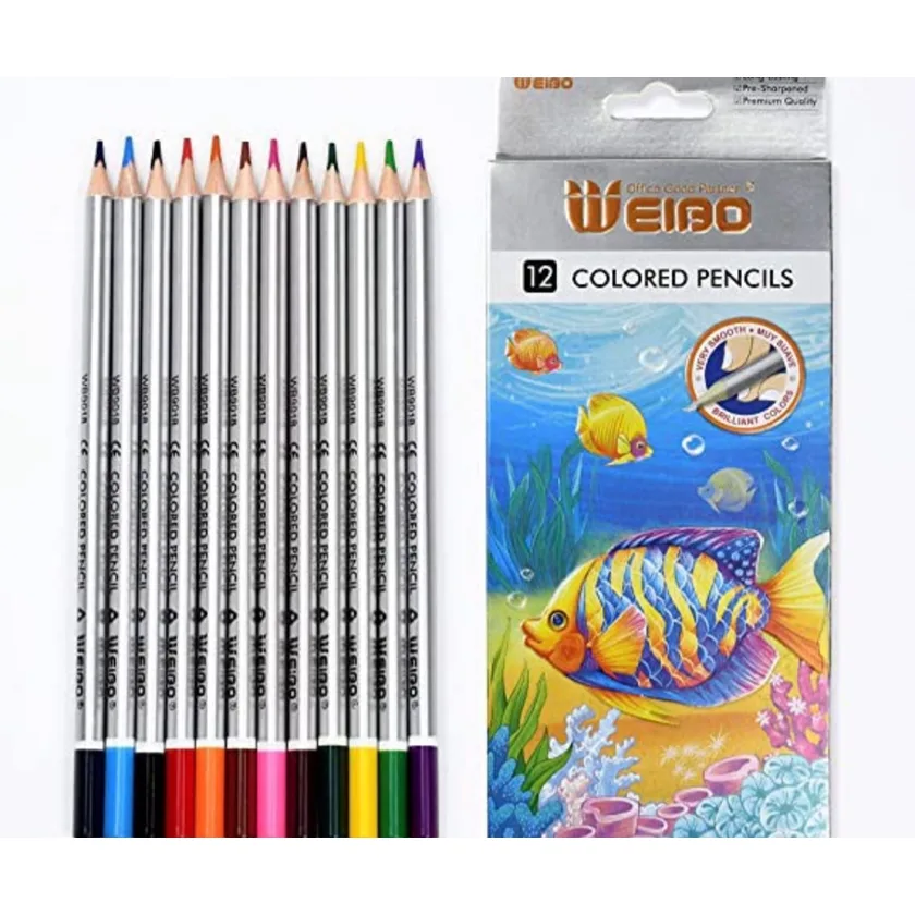 Crayons de couleur 12